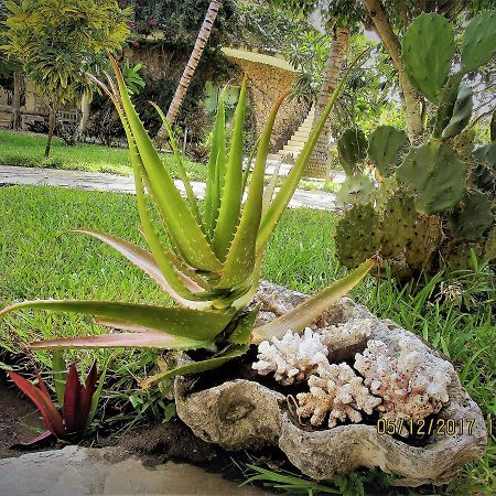 Fortamu Lady D House Watamu Eksteriør bilde