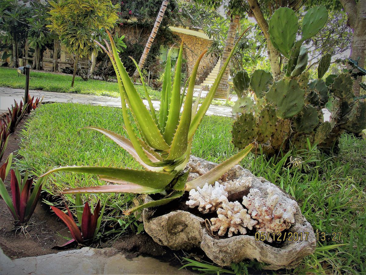 Fortamu Lady D House Watamu Eksteriør bilde